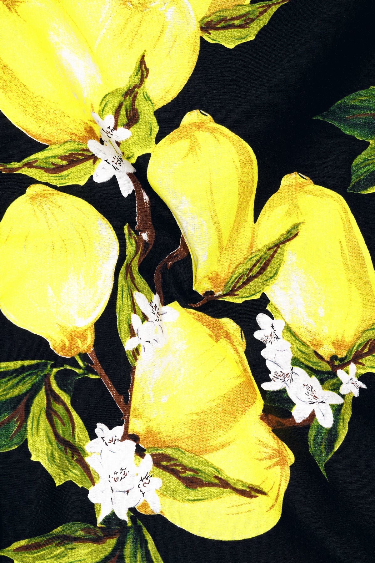 Citrina-Jade Black And Daffodil Yellow Lemon Floral Printed Poplin Giza Cotton Casual Shirt