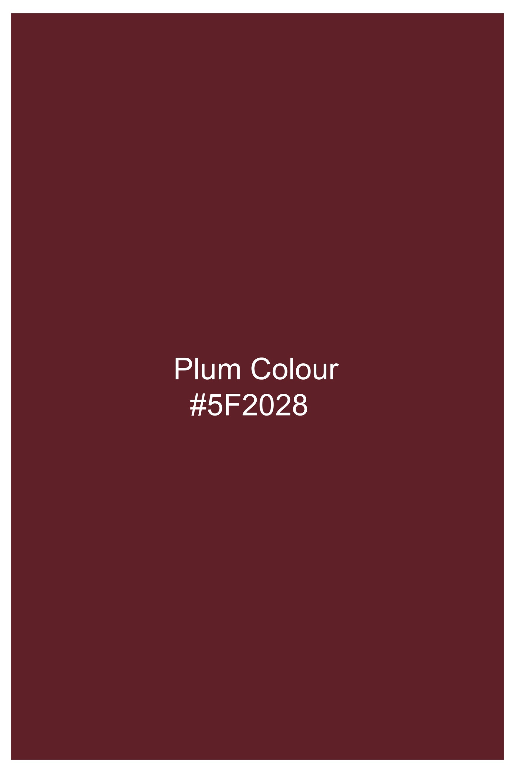 Plum Maroon Subtle Sheen Viscose Pajama F-8951