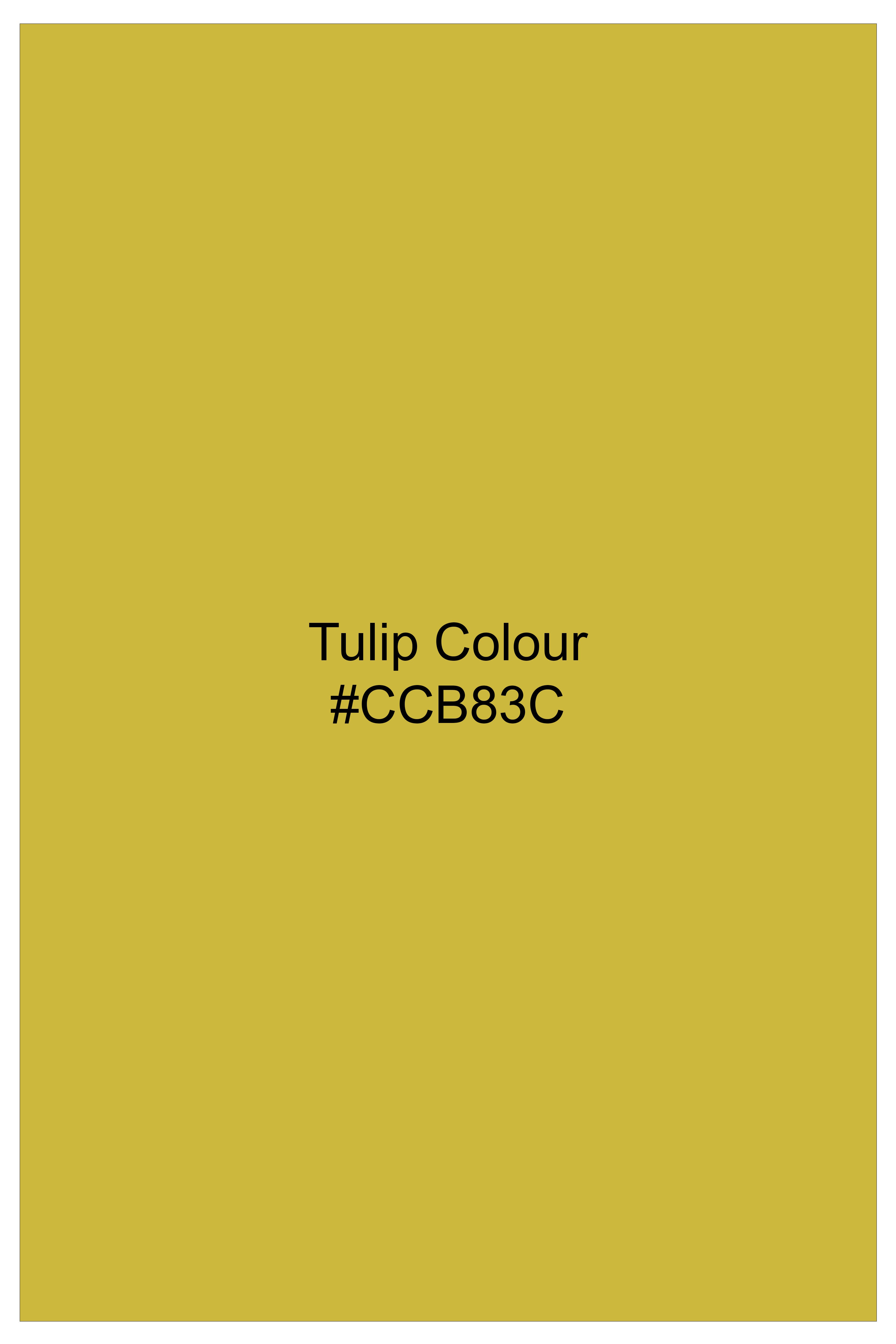 Auron-Mustard Yellow Oxford Premium Cotton Dress Shirt