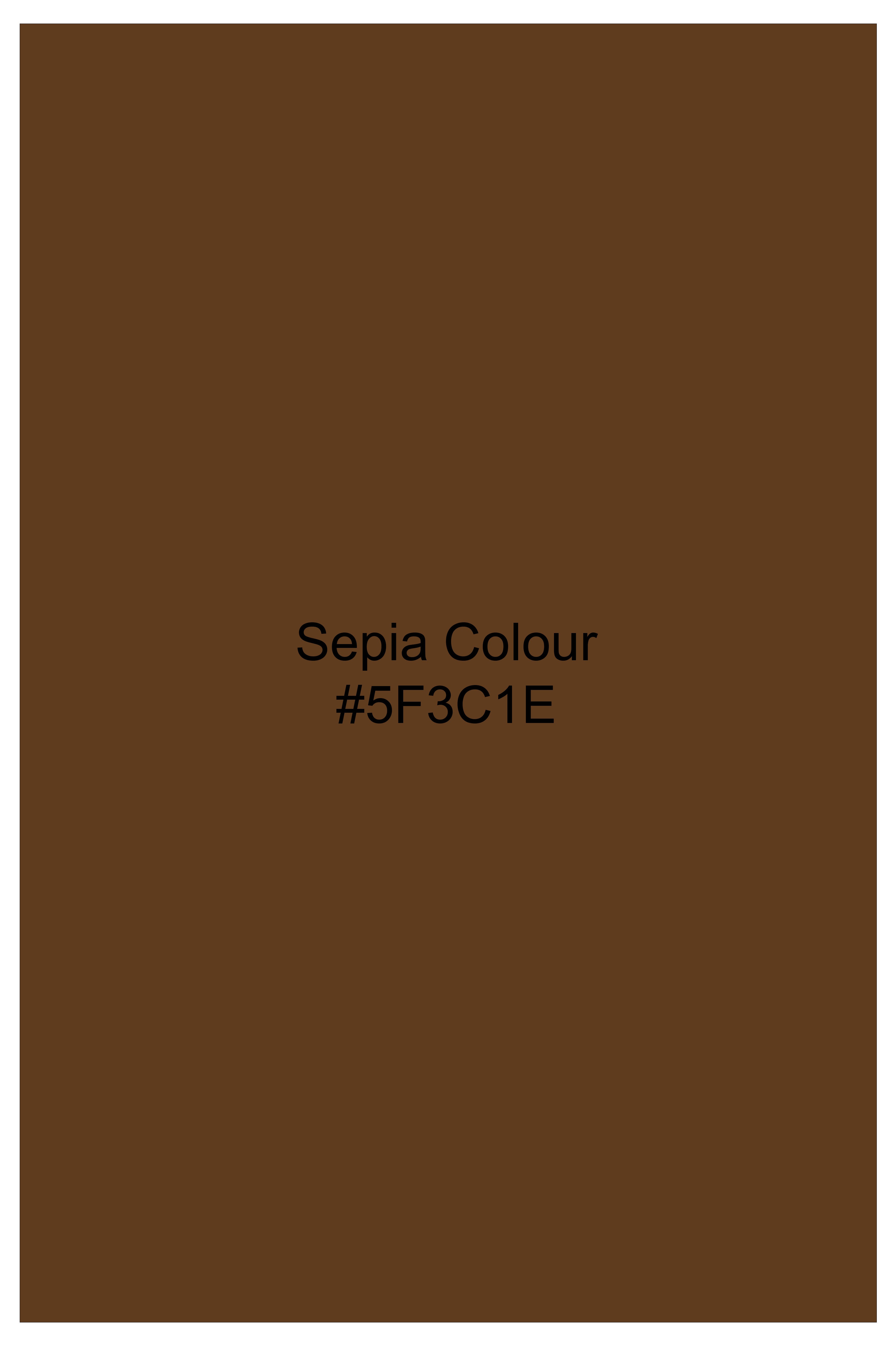 Ruston-Sepia Brown Oxford Premium Cotton Dress Button Down Shirt