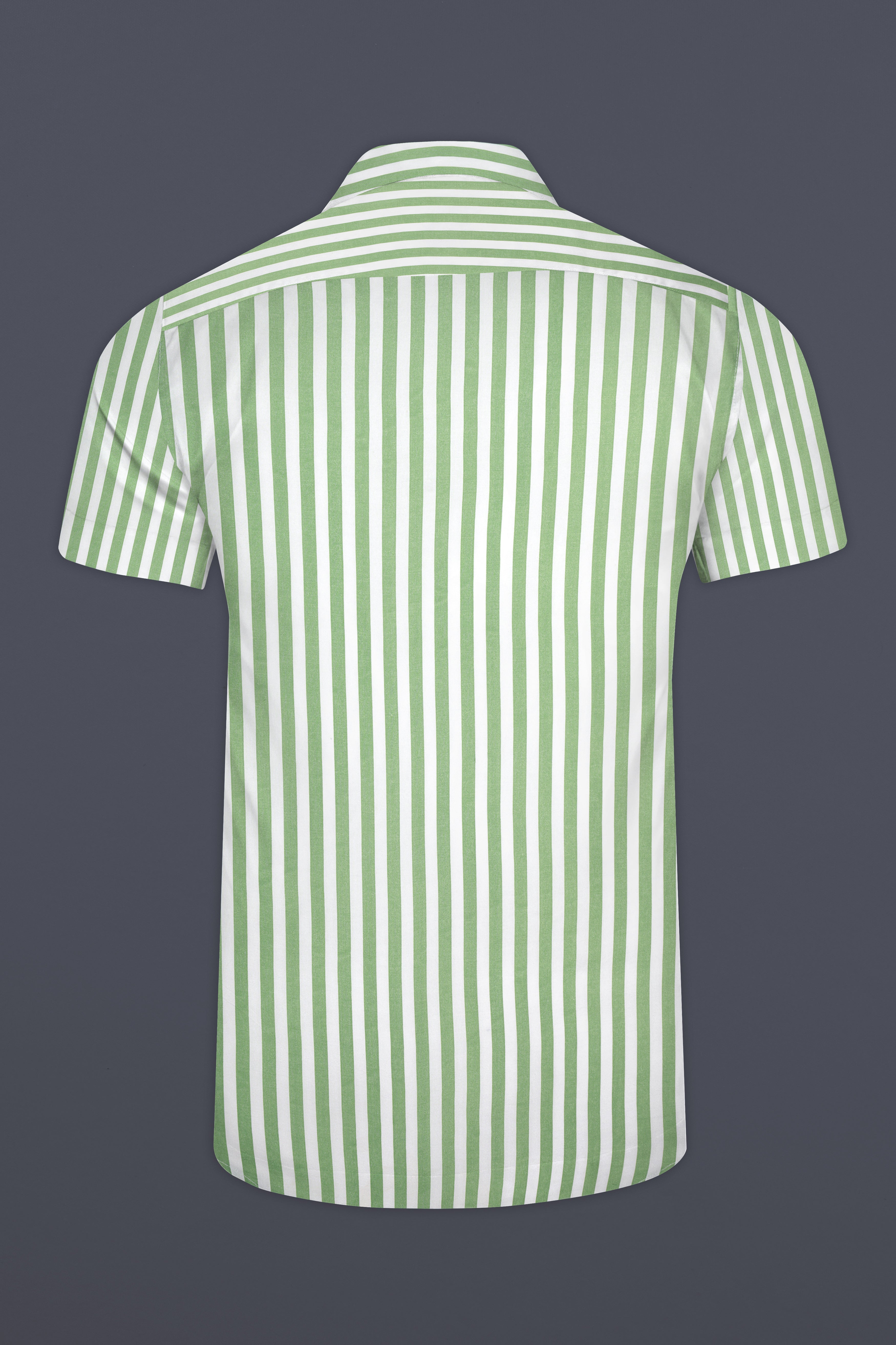 Bright White with Lichen Green Striped Premium Tencel Shirt