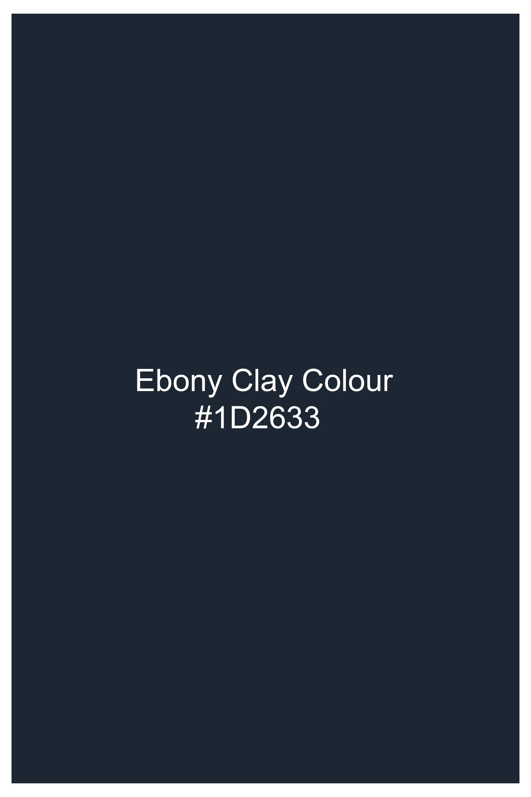 Ebony Clay Blue Subtle Sheen Viscose Kurta Set