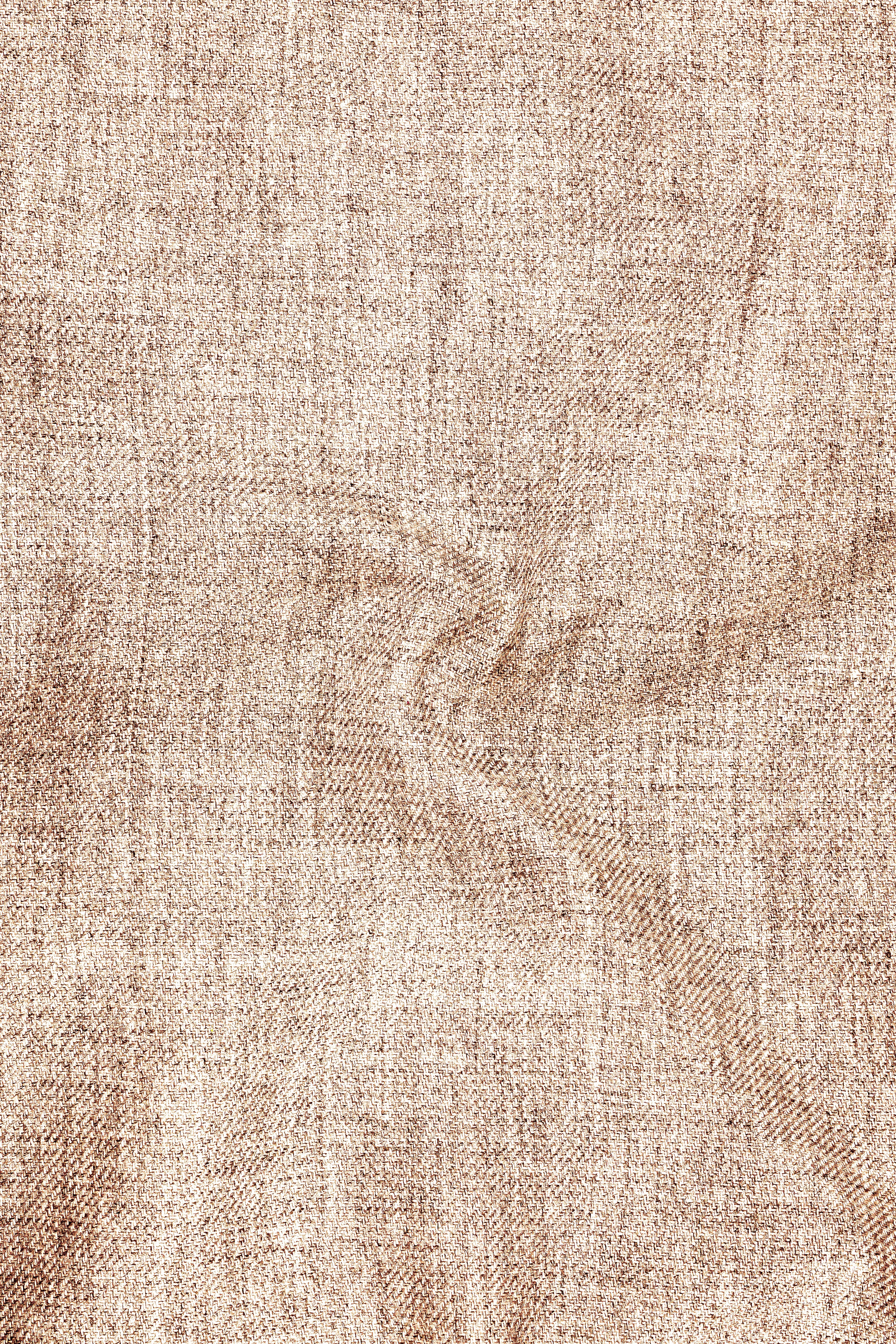 Ivoro-Bizarre Cream Textured Tweed Stretchable Waistband Pant