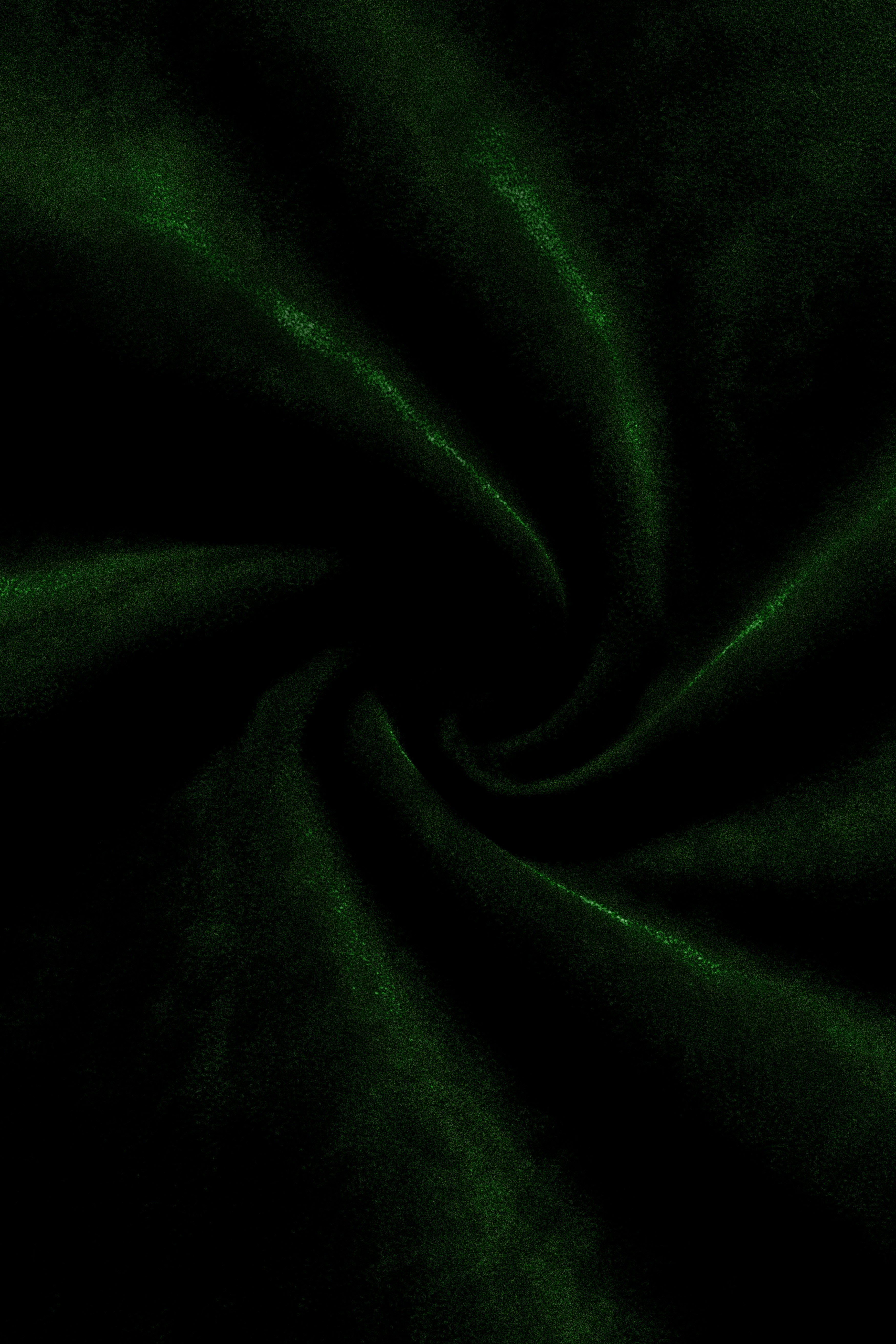 Emerald-Sacramento Green Velvet Stretchable Waistband Pant